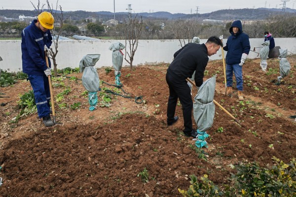 春雨潤沃野，不誤農時不負春——南京海中組織開展義務種植勞動