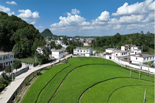 青綠為底 “錦繡”山河——海螺環保助力守護綠水青山